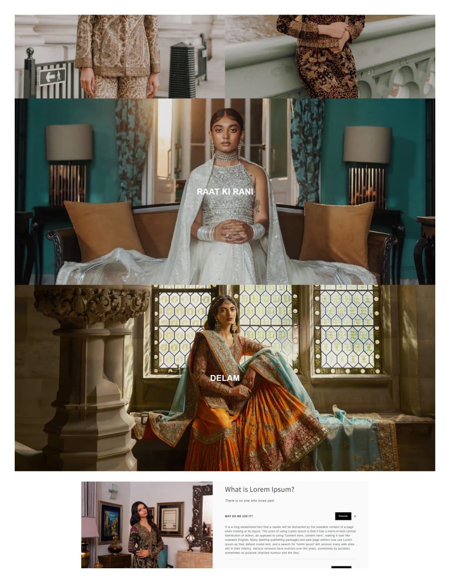 zrmsolutions-shopify-design-mehndi-collection-3